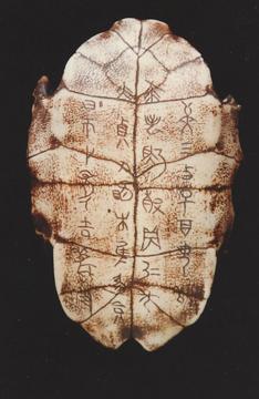 Oracle Bone